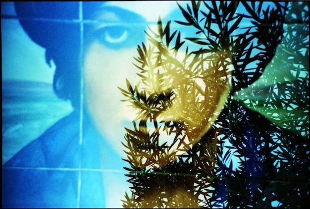 A stylized image representing the film's themes, such as a broken mirror reflecting fractured identities, or a symbolic landscape representing the character's internal struggles.
