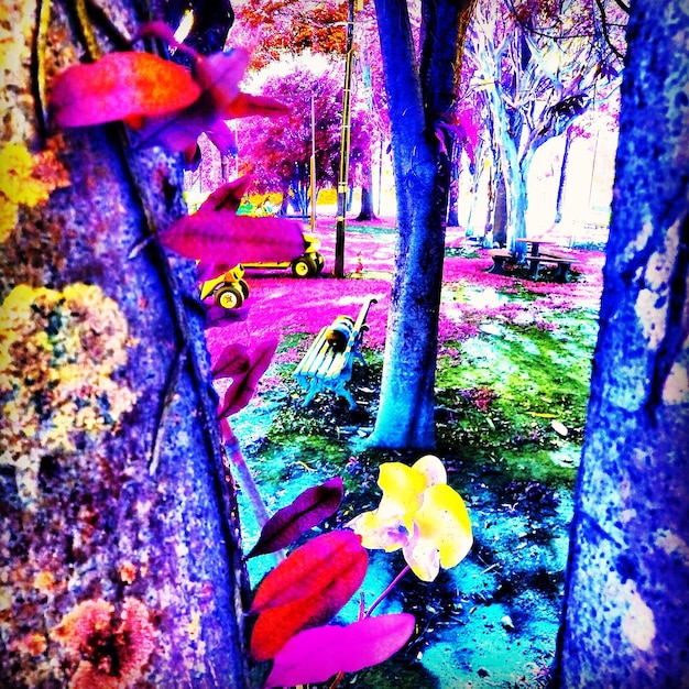 A wide-angle shot showcasing the film's stunning scenery, with vibrant colors and intricate details that highlight the visual artistry.
